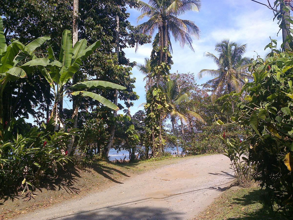 Playa Negra Guesthouse Cahuita Eksteriør billede