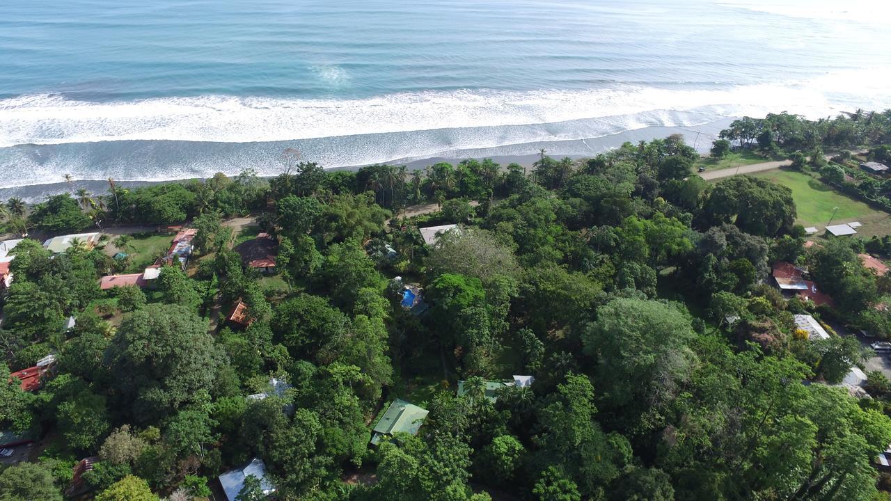 Playa Negra Guesthouse Cahuita Eksteriør billede