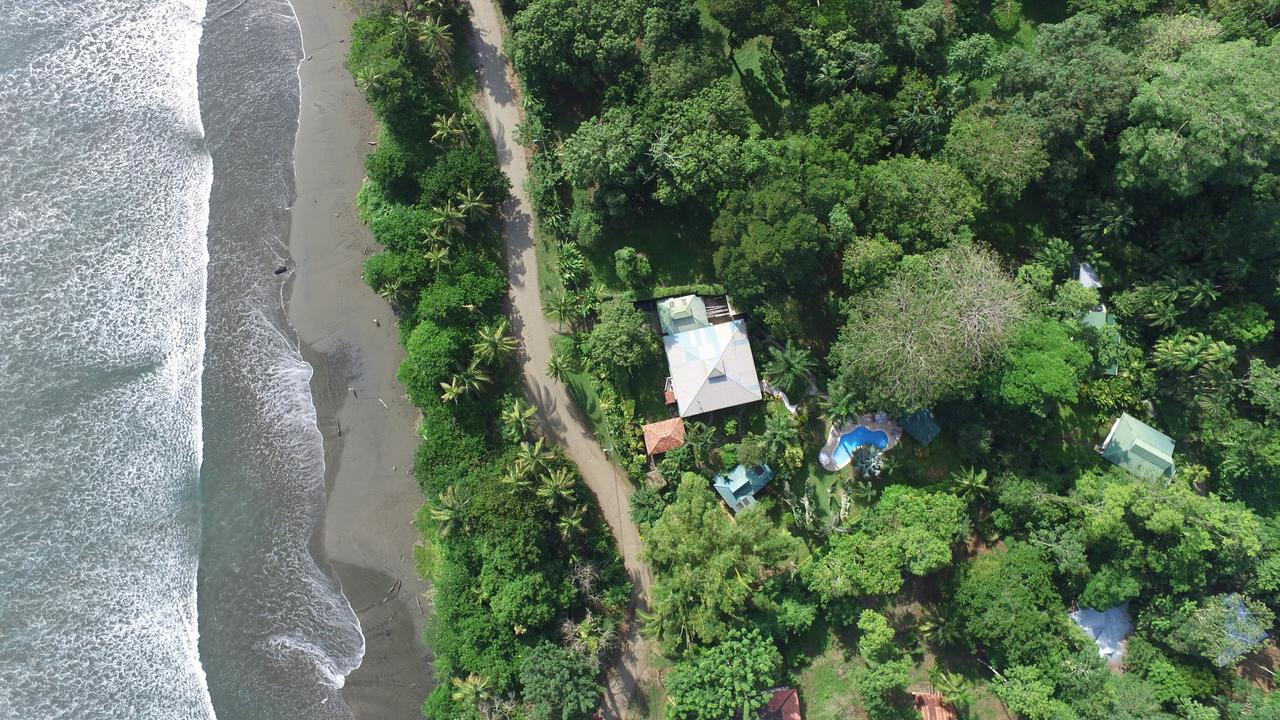 Playa Negra Guesthouse Cahuita Eksteriør billede