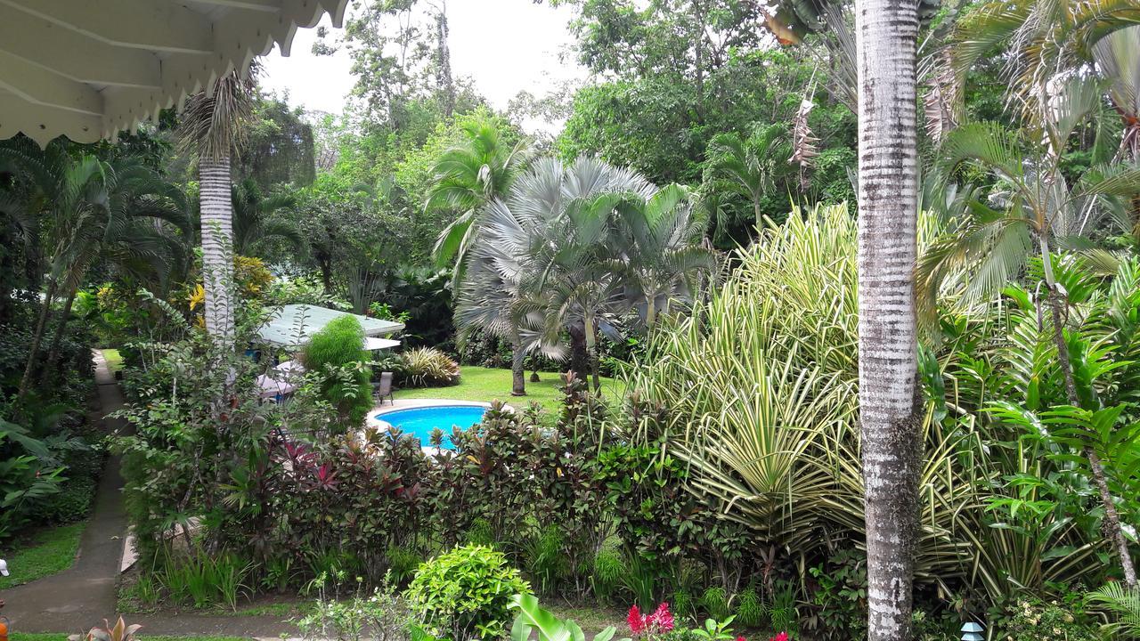 Playa Negra Guesthouse Cahuita Eksteriør billede