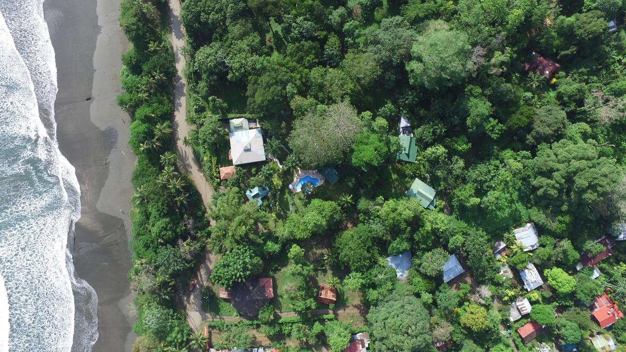 Playa Negra Guesthouse Cahuita Eksteriør billede