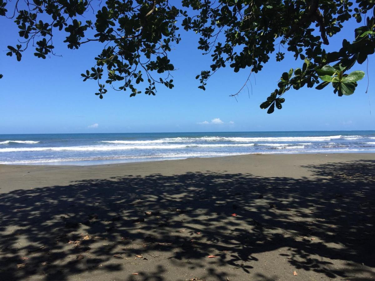 Playa Negra Guesthouse Cahuita Eksteriør billede